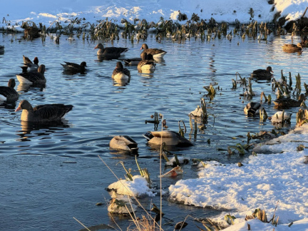 426634178 10232594186096131 7468792525342110329 n