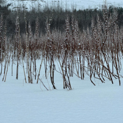 424621313 18379564399077307 8053446770880832332 n